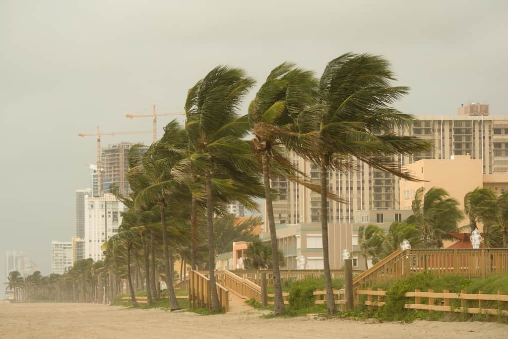 hurricane property damage insurance claims web optimized