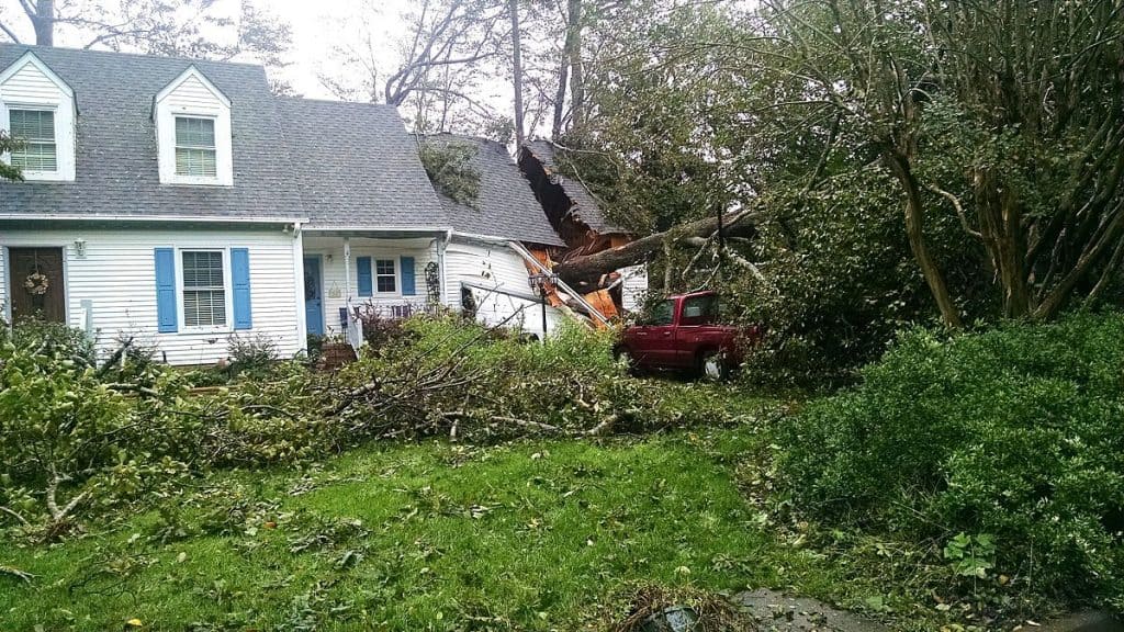 Hurricane property damage tree on house; questions to ask a public adjuster