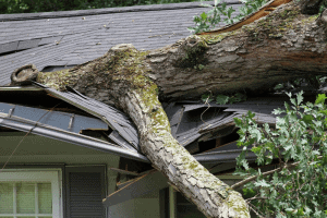 Home Insurance for damage