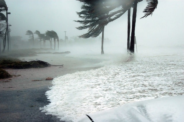 2020 Hurricane Season Tips