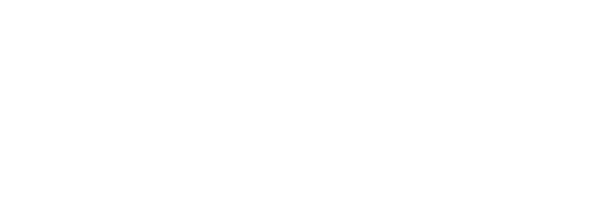 The Professional Law Group