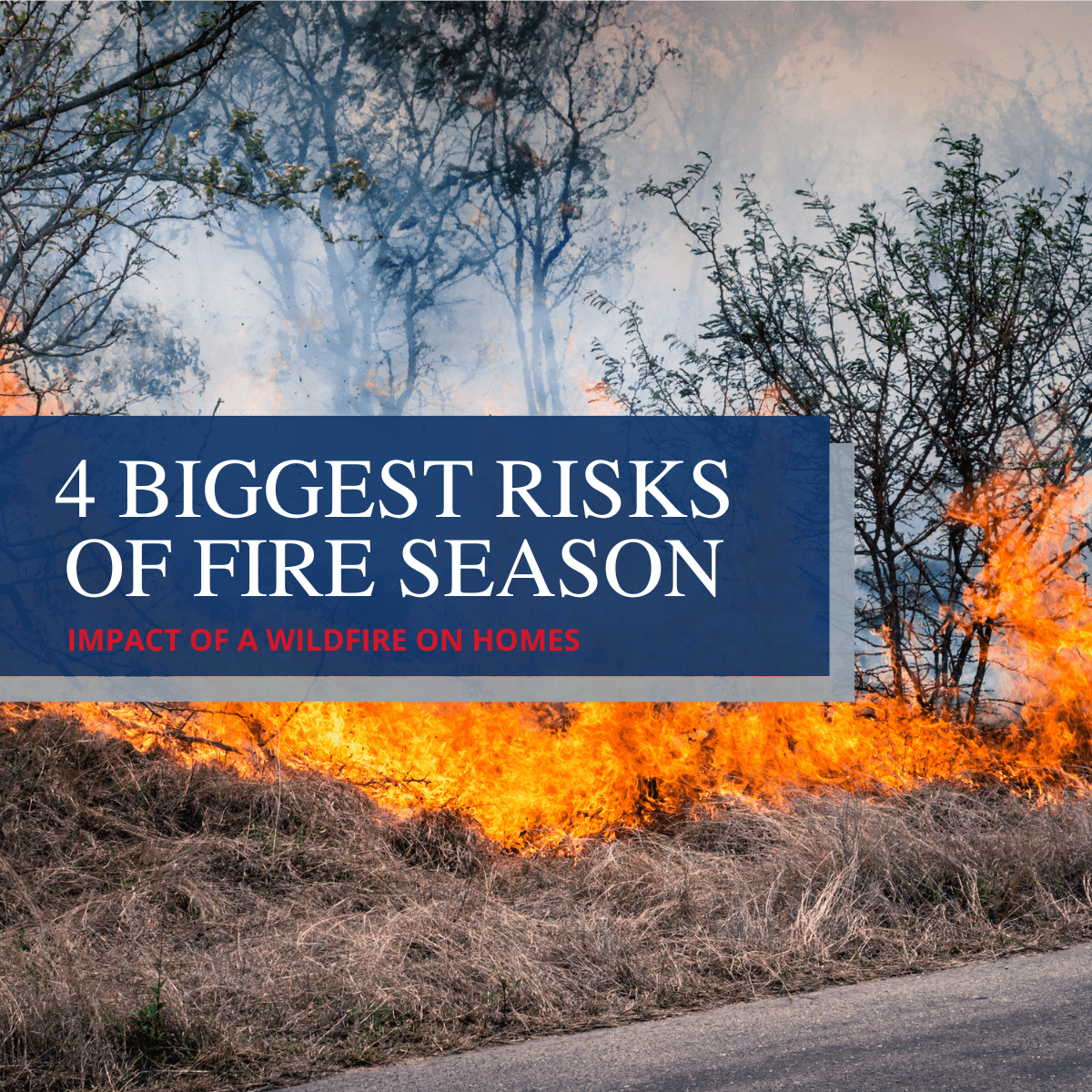 The 4 Biggest Risks of Fire Season