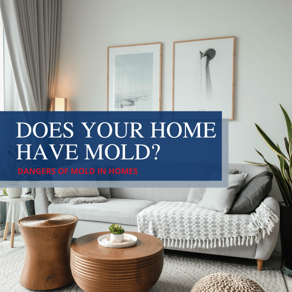 Does your home have mold?
