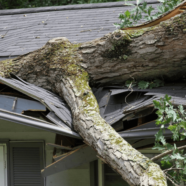 Home Insurance for damage